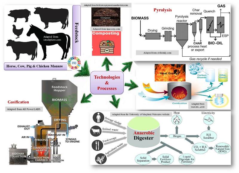 Horse_manure_SDG