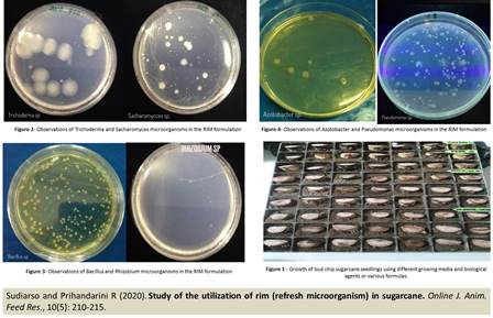 RIMs_Biological_Agent-1