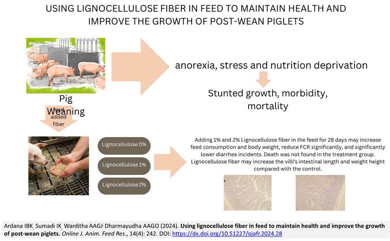 275-lignocellulose_fiber-piglets