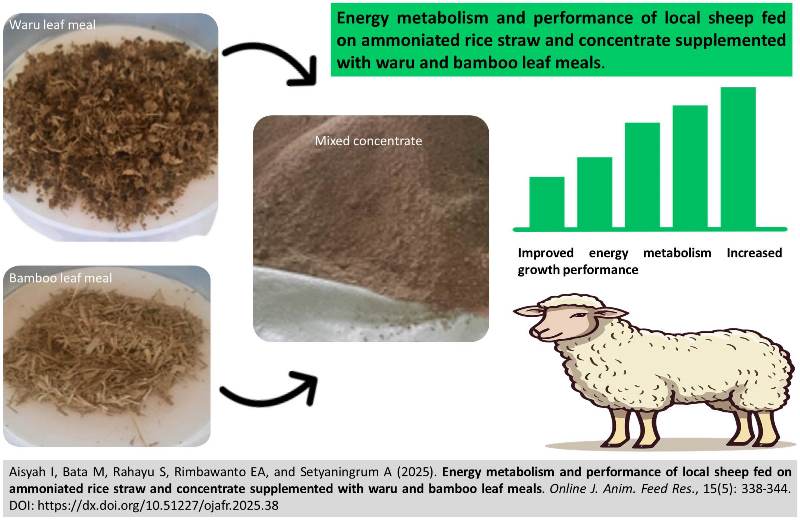 504-waru_and_bamboo_leaf_meals_concentrate