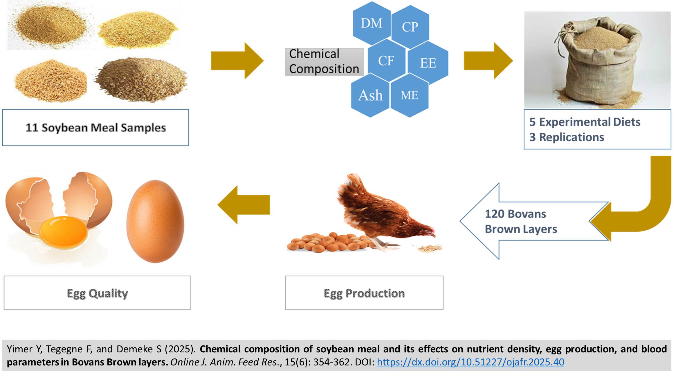 530-effects_of_soybean_meal_and_its__in_Bovans_Brown_layers