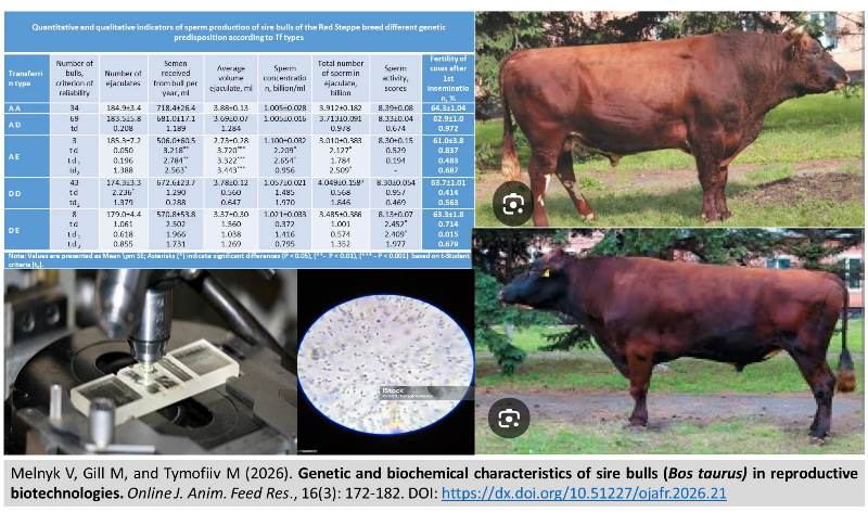 633-Bos_taurus_-_sire_bulls