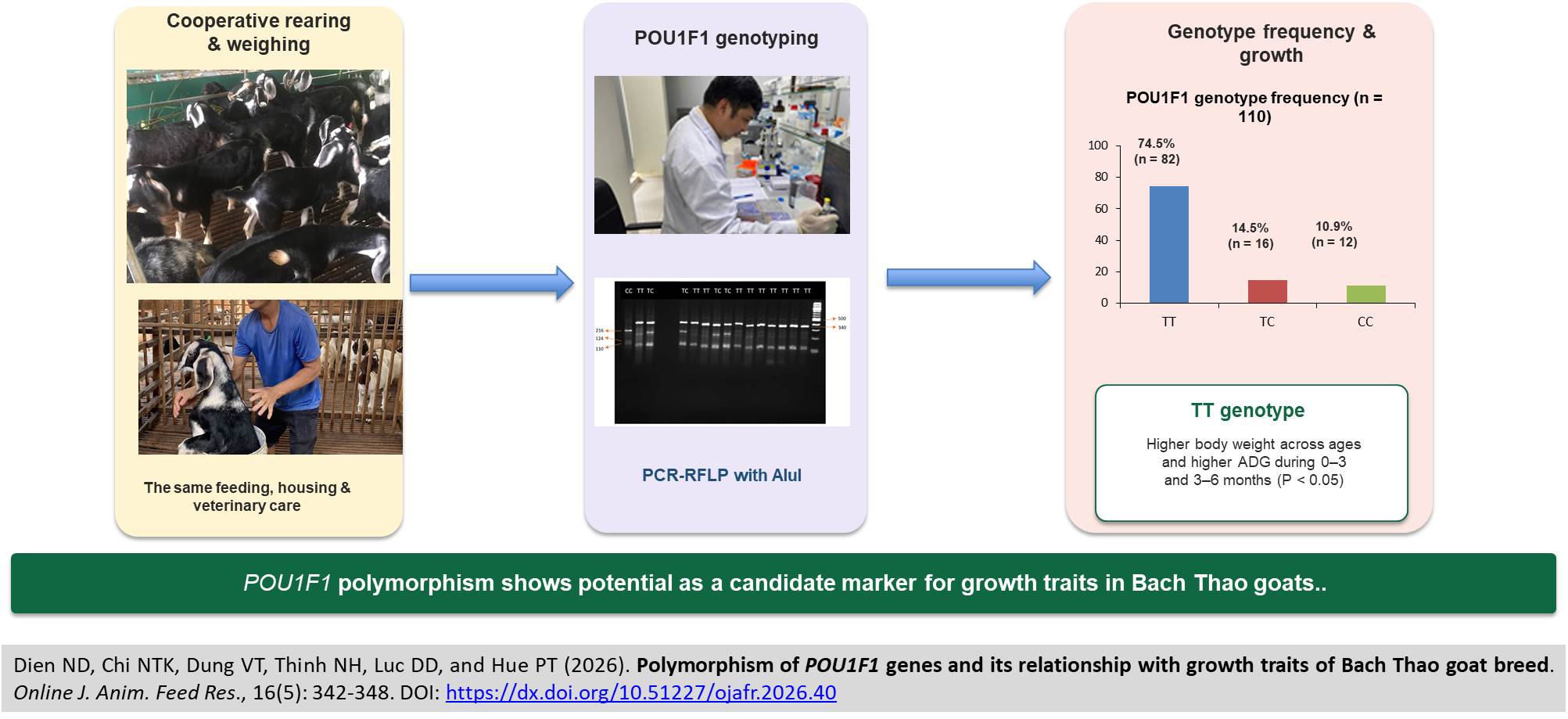 753-Polymorphism_of_POU1F1_genes_of_Bach_Thao_goat_breed